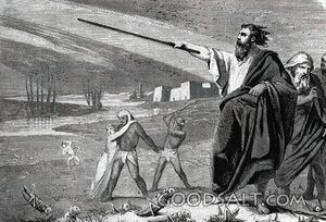 Moses Commands the Plague of Locusts