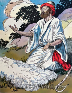 Shepherd Watching His Flock