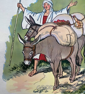 Ziba Brings Provisions to David