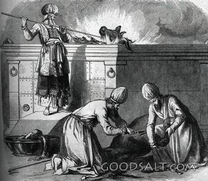 Priests Preparing the Burnt Offering