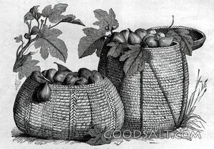 Baskets of Firstfruits