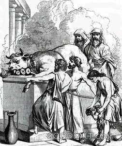 Levitical Sacrifice at the Altar