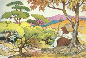 The Shepherd Over the Hills