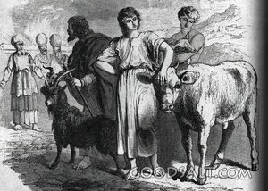 Israelites Bring Sacrificial Offerings