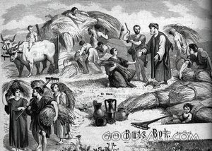 Ruth Gleans in the Field of Boaz
