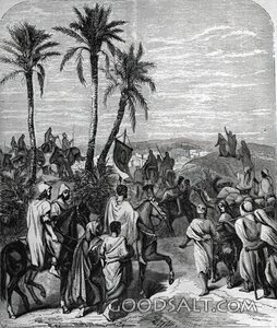 Ancient Procession Through the Palms