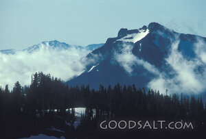 Misty Mountain Majesty