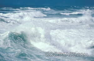 Roaring Sea and Storm Waves