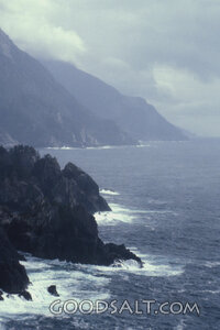 Mighty Waves Along the Rocky Coast