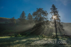Splitting the Morning