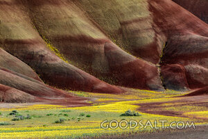 Spring in the Hills