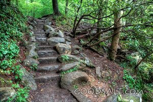 Stairs in the Woods