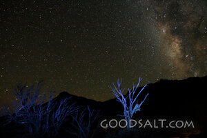 Stars