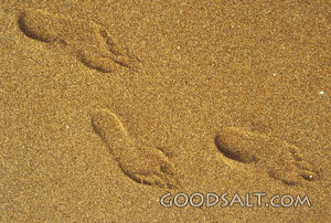 Footprints in sand.