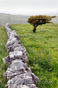 Stone Wall