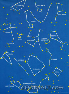 Summer Stars