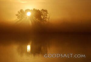 Sunrise God Rays at Fernhill
