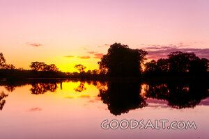 Sunrise ove pink lake.