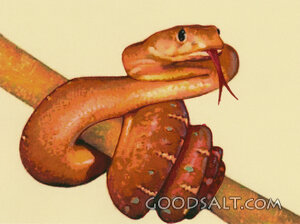 The Serpent in the Garden