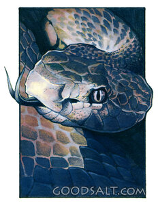 The Ancient Serpent