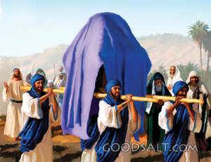 The Ark Leads the Way