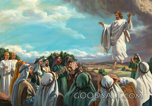 The Ascension, Disciples Watch