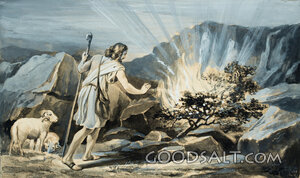 The Burning Bush