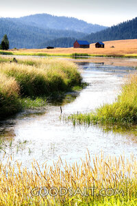 The Creek