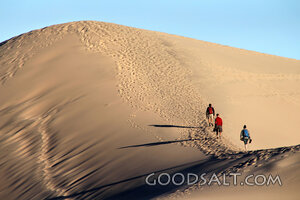 The Dune