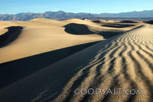 The Dunes