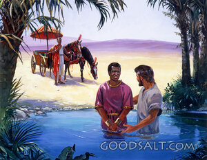 The Ethiopian Chooses to Follow Jesus