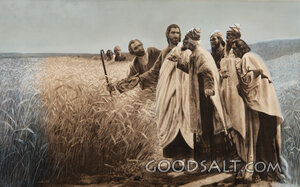 The Fields Are Ripe