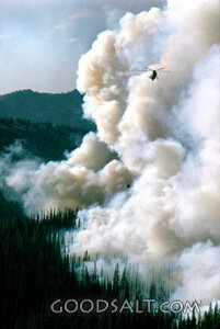 The Fire