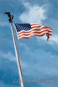 The Flag of America