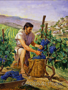 The Obedient Son
