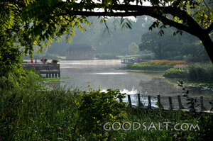The Pond