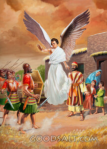 The Protector