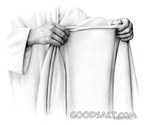 The Robe