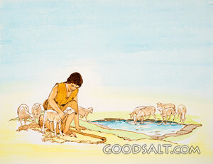 The Shepherd Boy