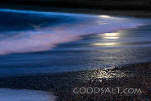 The SHore