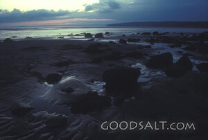 The Tide