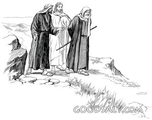 The Transfiguration