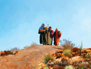 The Travelers