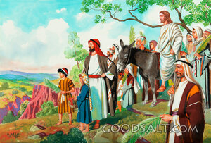 The Triumphal Entry - Viewing the Temple