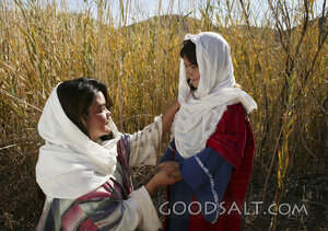 Tenderness Among the Reeds