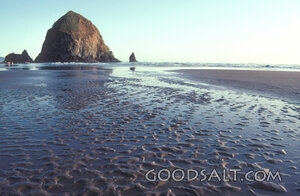 Haystack Rock at Low Tide