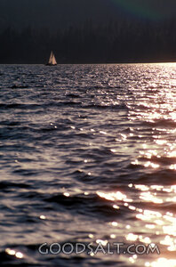 Sailboat on Sunlit Waters