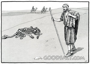 Traveling Across the Desert