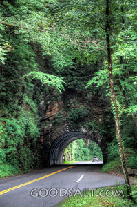 Tunnel in the Woods