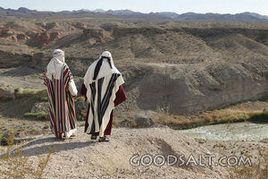 Two Disciples on Ridge